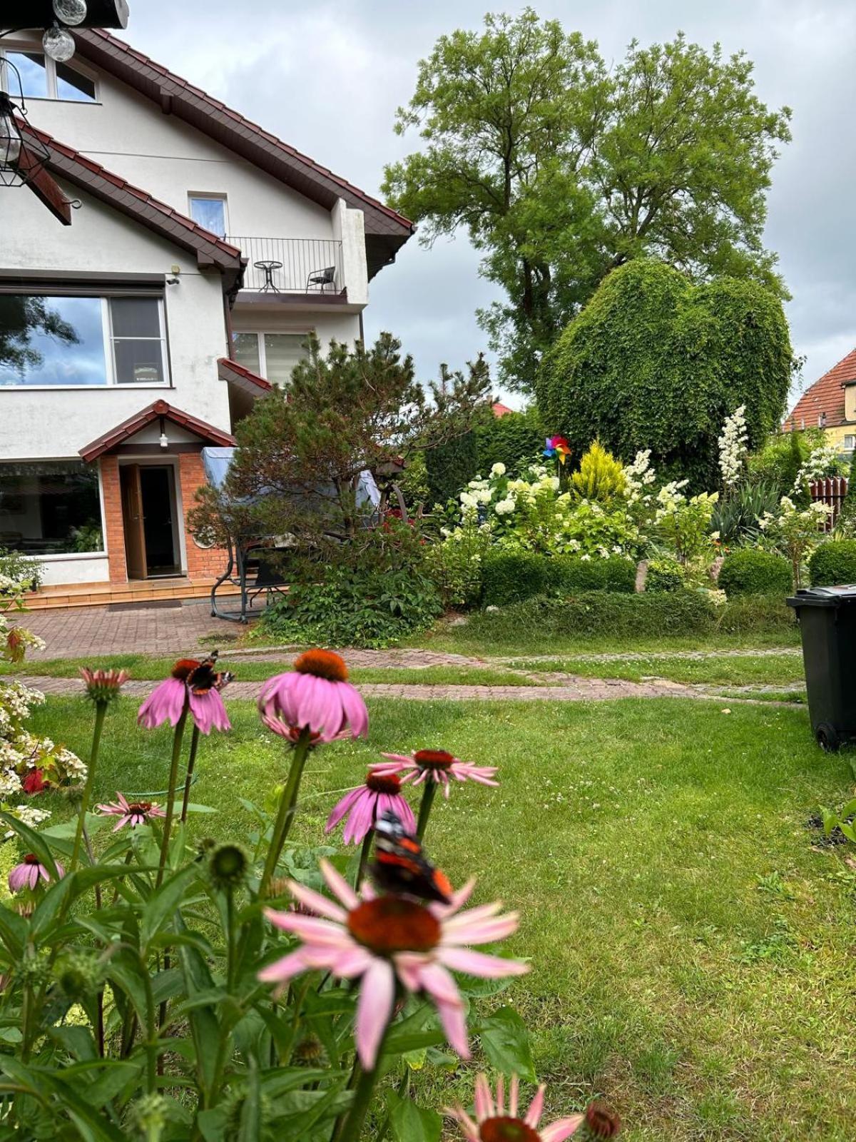 Villa Mielno-Eko Mielno  Eksteriør bilde